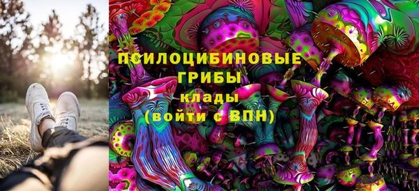 ALPHA-PVP Строитель