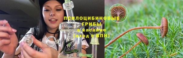 ALPHA-PVP Строитель