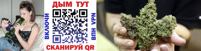 Канабис индика  Ахтырский 